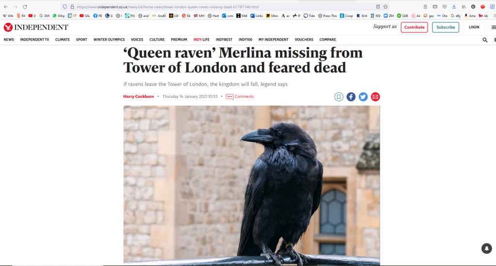 Shows a photo of a missing Raven at the Tower of London