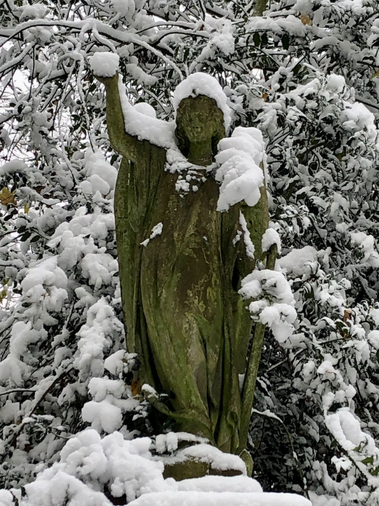 Abney Park cemetary in winter