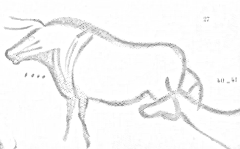 Sketch of 23,000 year old cave painting, below the head of the animal are  dots which arethought to be lunar months of the mating season