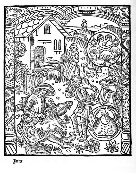 Black and white engraving for June from Kalendar of Shepherds.  