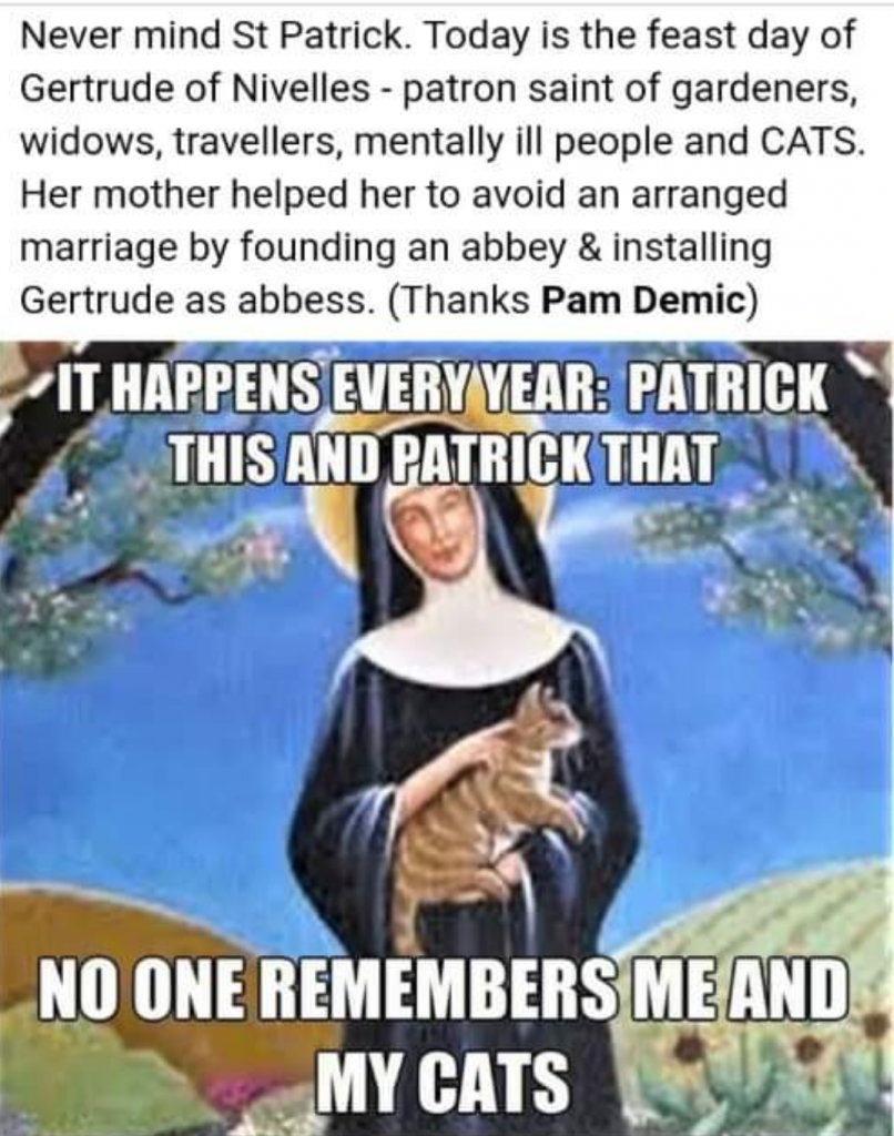 comical post from facebook of St Gertrude Patron saint of cats