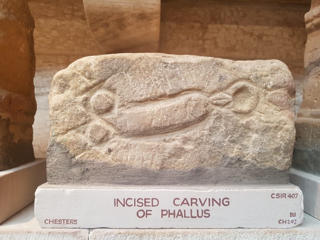 Carving of phallus from John Clayton Museum, Chesters Photo k Flude